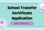 school transfer certificate application